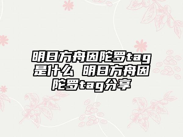 明日方舟因陀罗tag是什么 明日方舟因陀罗tag分享