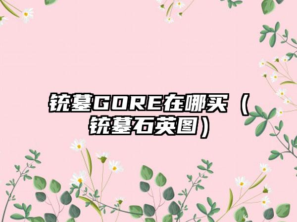 铳墓GORE在哪买（铳墓石英图）