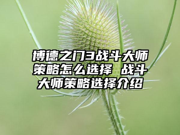 博德之门3战斗大师策略怎么选择 战斗大师策略选择介绍
