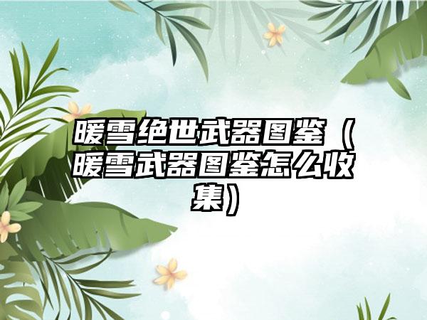 暖雪绝世武器图鉴（暖雪武器图鉴怎么收集）