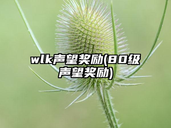 wlk声望奖励(80级声望奖励)