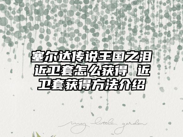 塞尔达传说王国之泪近卫套怎么获得 近卫套获得方法介绍