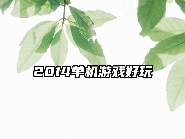 2014单机游戏好玩