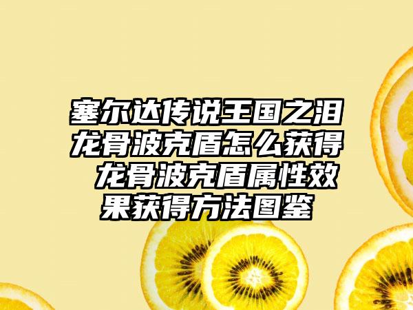 塞尔达传说王国之泪龙骨波克盾怎么获得 龙骨波克盾属性效果获得方法图鉴