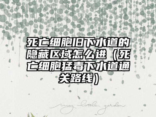 死亡细胞旧下水道的隐藏区域怎么进（死亡细胞猛毒下水道通关路线）