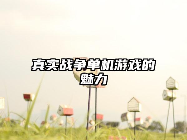 真实战争单机游戏的魅力