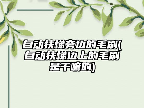 自动扶梯旁边的毛刷(自动扶梯边上的毛刷是干嘛的)