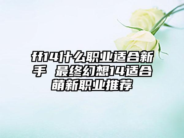 ff14什么职业适合新手 最终幻想14适合萌新职业推荐