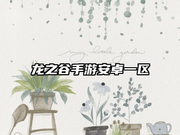 龙之谷手游安卓一区