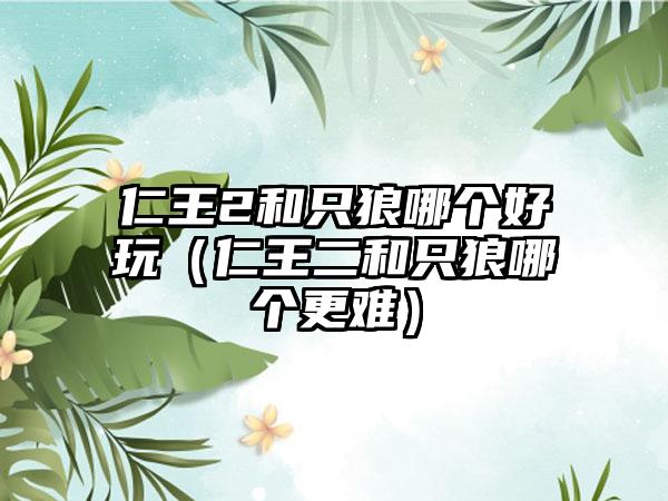 仁王2和只狼哪个好玩（仁王二和只狼哪个更难）