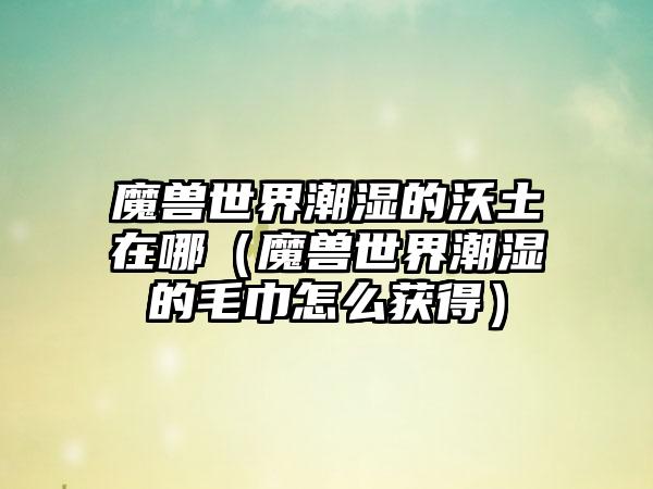 魔兽世界潮湿的沃土在哪（魔兽世界潮湿的毛巾怎么获得）