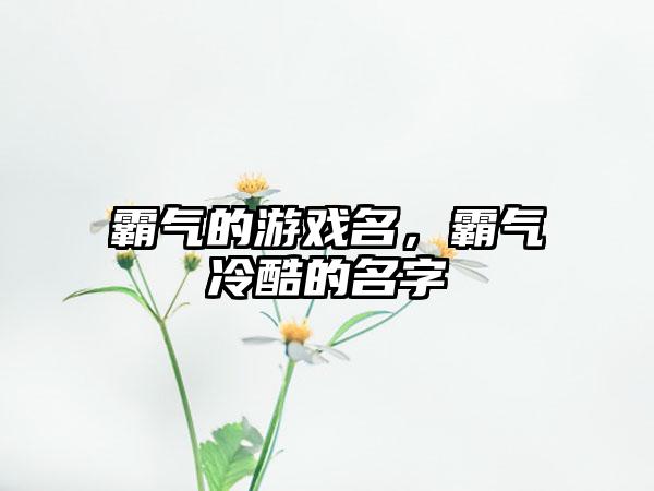 霸气的游戏名，霸气冷酷的名字