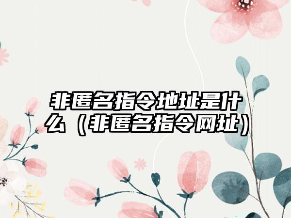 非匿名指令地址是什么（非匿名指令网址）