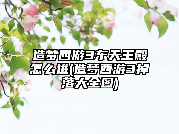 造梦西游3东天王殿怎么进(造梦西游3掉落大全图)
