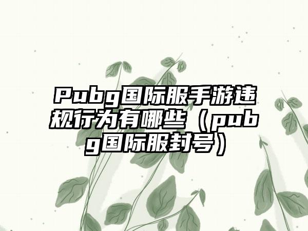 Pubg国际服手游违规行为有哪些（pubg国际服封号）