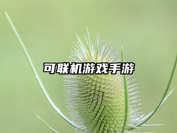 可联机游戏手游