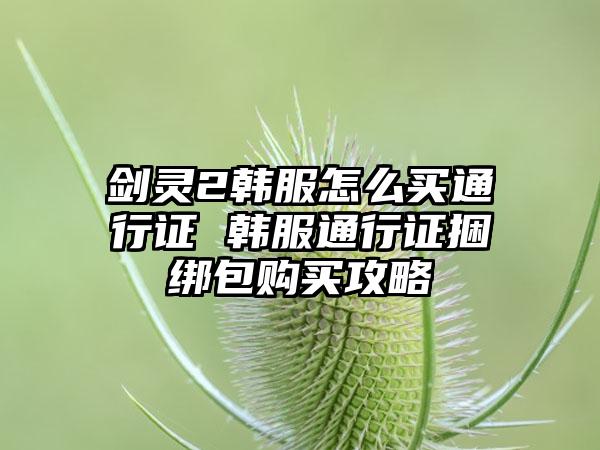 剑灵2韩服怎么买通行证 韩服通行证捆绑包购买攻略
