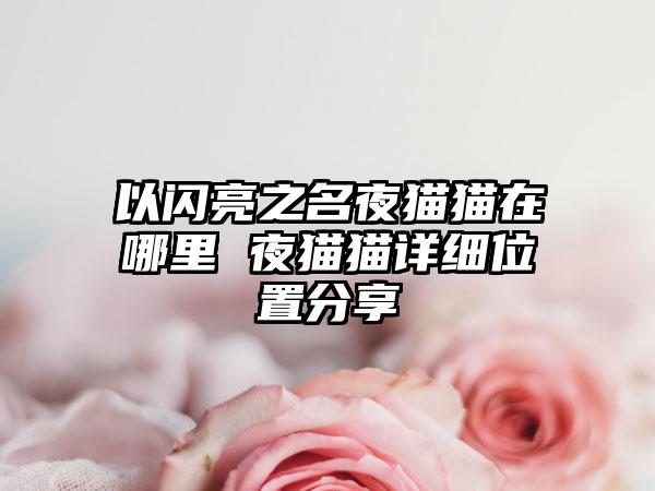 以闪亮之名夜猫猫在哪里 夜猫猫详细位置分享