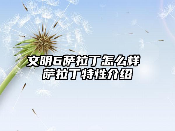文明6萨拉丁怎么样 萨拉丁特性介绍