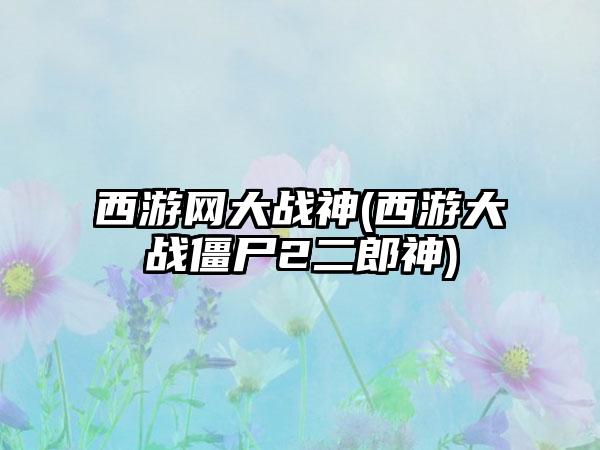 西游网大战神(西游大战僵尸2二郎神)