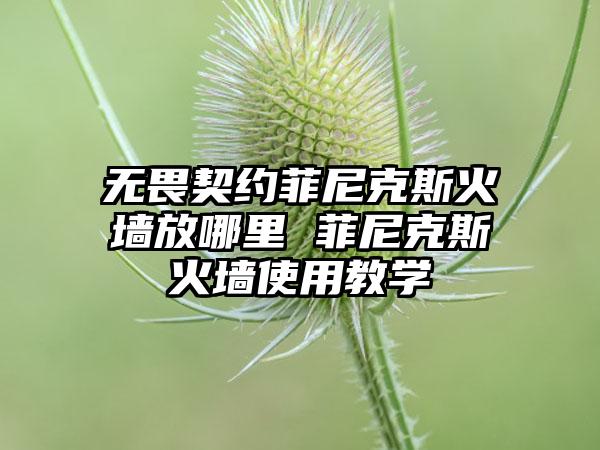 无畏契约菲尼克斯火墙放哪里 菲尼克斯火墙使用教学