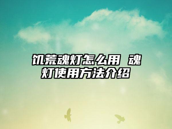 饥荒魂灯怎么用 魂灯使用方法介绍