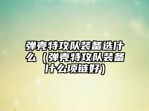 弹壳特攻队装备选什么（弹壳特攻队装备什么项链好）