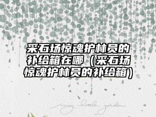 采石场惊魂护林员的补给箱在哪（采石场惊魂护林员的补给箱）