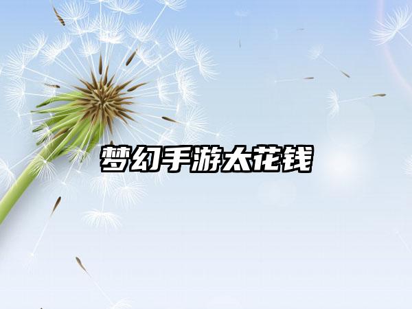 梦幻手游太花钱