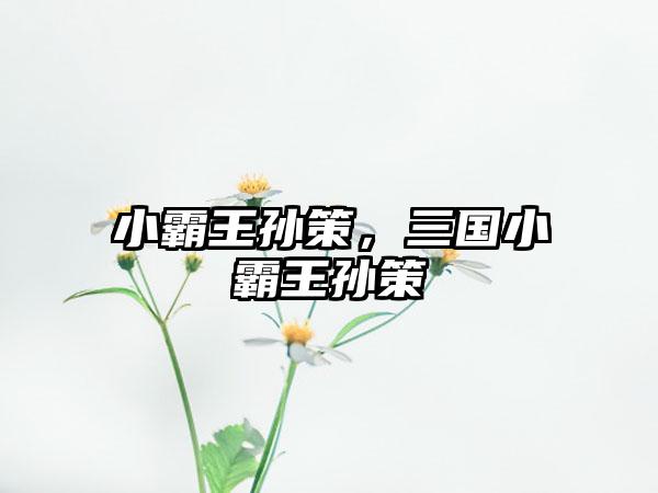 小霸王孙策，三国小霸王孙策