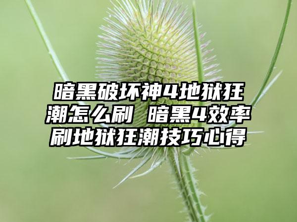 暗黑破坏神4地狱狂潮怎么刷 暗黑4效率刷地狱狂潮技巧心得