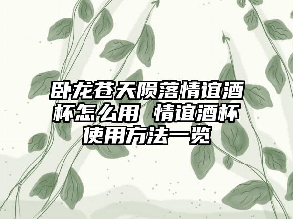 卧龙苍天陨落情谊酒杯怎么用 情谊酒杯使用方法一览