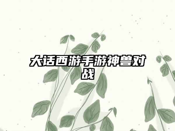 大话西游手游神兽对战