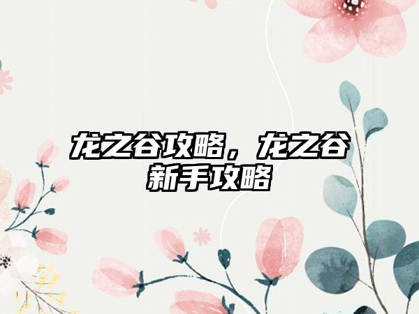 龙之谷攻略，龙之谷新手攻略
