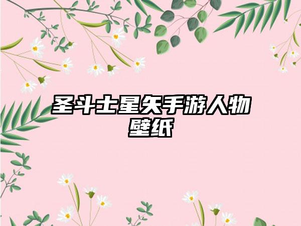 圣斗士星矢手游人物壁纸