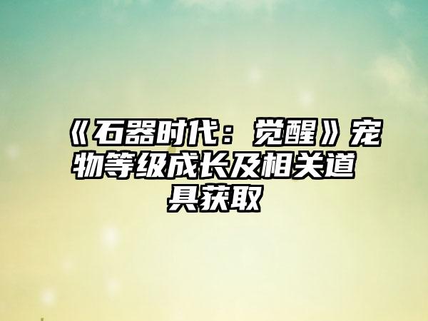 《石器时代：觉醒》宠物等级成长及相关道具获取