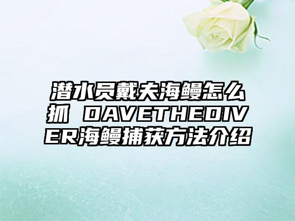 潜水员戴夫海鳗怎么抓 DAVETHEDIVER海鳗捕获方法介绍