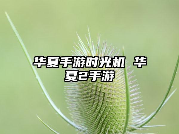 华夏手游时光机 华夏2手游