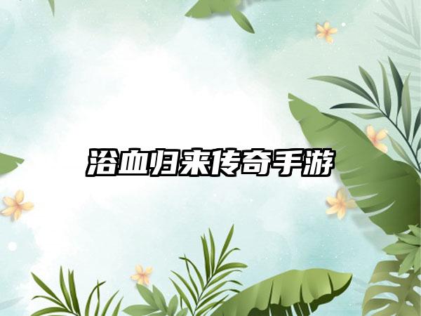 浴血归来传奇手游