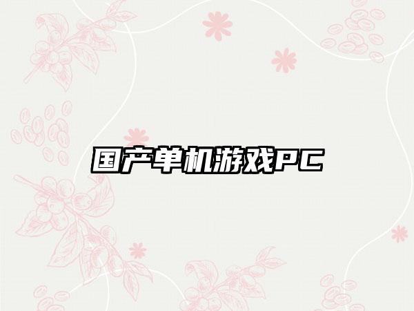 国产单机游戏PC