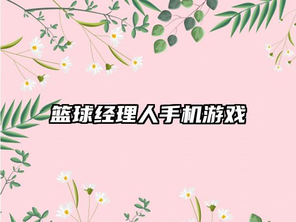 篮球经理人手机游戏