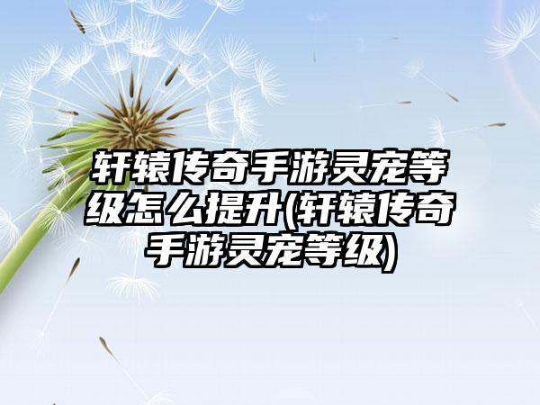 漫威瞬战超能国际服怎么充值 漫威卡牌对战游戏国际服充值