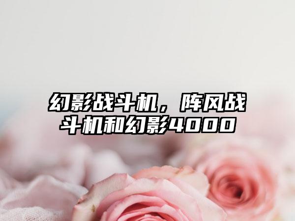 幻影战斗机，阵风战斗机和幻影4000