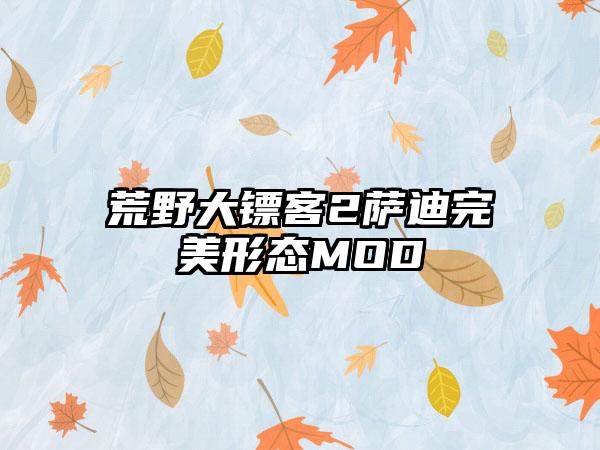 荒野大镖客2萨迪完美形态MOD