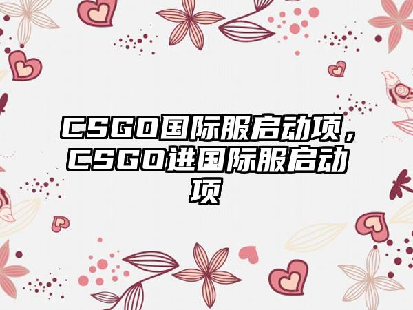CSGO国际服启动项，CSGO进国际服启动项