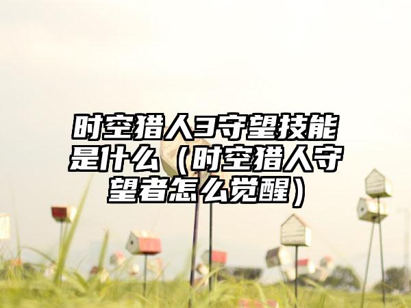 时空猎人3守望技能是什么（时空猎人守望者怎么觉醒）