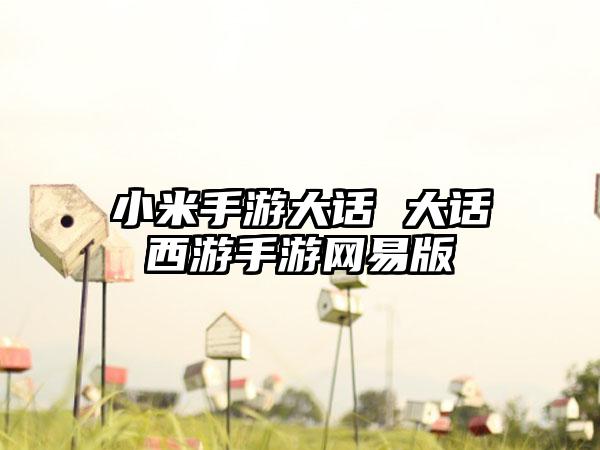 小米手游大话 大话西游手游网易版