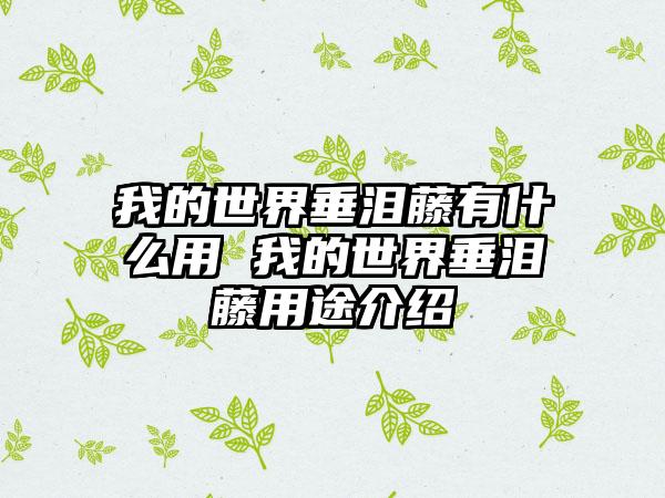 我的世界垂泪藤有什么用 我的世界垂泪藤用途介绍
