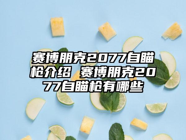 赛博朋克2077自瞄枪介绍 赛博朋克2077自瞄枪有哪些