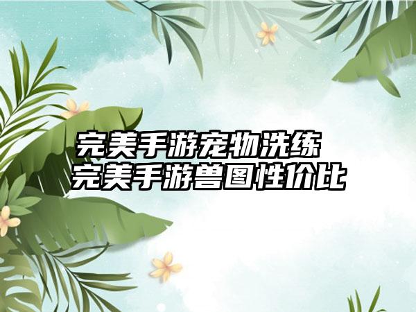 完美手游宠物洗练 完美手游兽图性价比